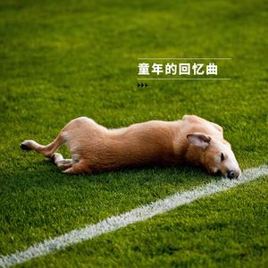 童话般的奇迹 (宠物医院bgm)