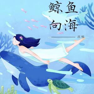 鲸鱼向海