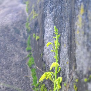 Gio Lanh Lung (Beat)