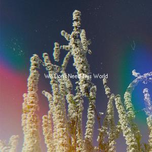 We Don’t Need This World
