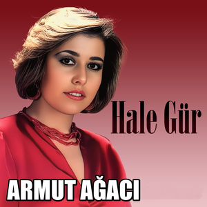 ARMUT AĞACI