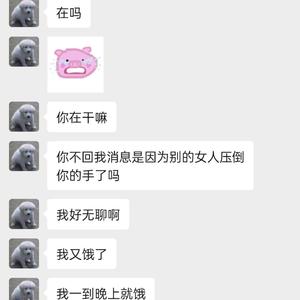 请别再给我发微信（prod by LilSiren,#Rye）