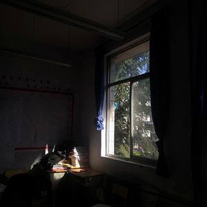 Plastic_n_Ivory_20220426_111138