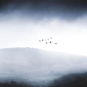 温柔如你（钢琴曲）