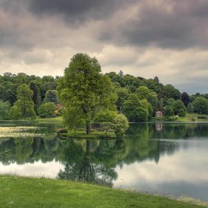 闲云野鹤（纯音乐）