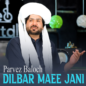 Dilbar Maee Jani