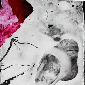 Plastic Surgery Disaster (WTJ)