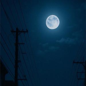 月明かりの下で