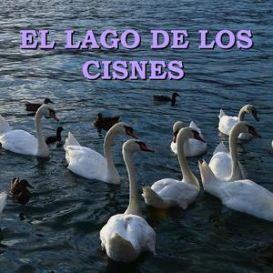 Swan Lake, Op.20a, Act II: Danse des cygnes