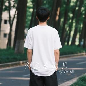 只适合遇见