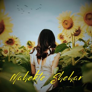 Mahekte Shehar