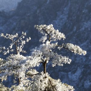 原来最痛是 差一步的勇气