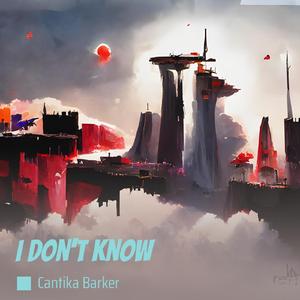 I Don't Know