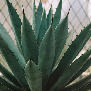 睡不着的夜里最好有雨 original mix