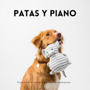 Armonía Del Piano Y Ladrido De Perro