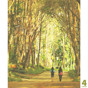 바람 쐬러 갈까