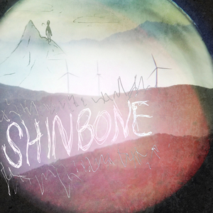 Shinbone