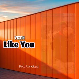Like You