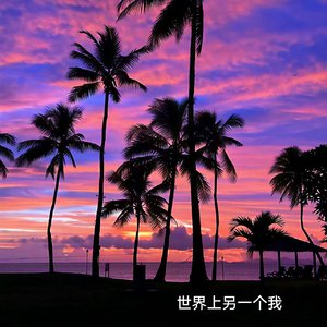 世界上的另一个我（ 我亲爱的你呀）