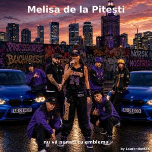 Melosa de la Pitești - Nu vă puteți cu emblema