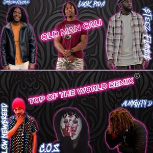 Top Of The World (Remix)