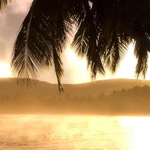 没你也能活下去