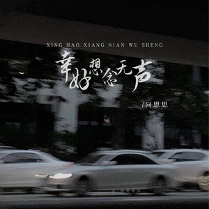 幸好想念无声