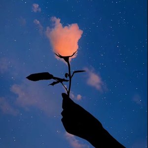 结（prod by jurrivh）