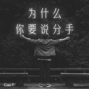 为什么你要说分手（深情版）
