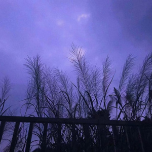 DOAR CU TINE (雷神进行曲)