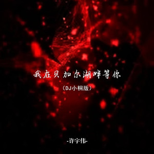 我在贝加尔湖畔等你 (DJ小桐版)