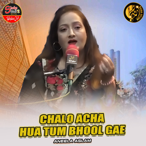 Chalo acha hua tum bhool gae (1)