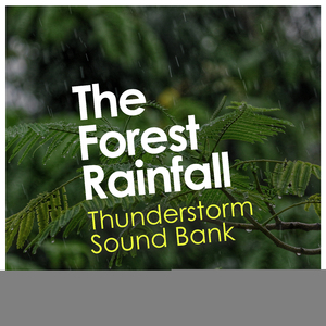 Thunder Splits the Sky