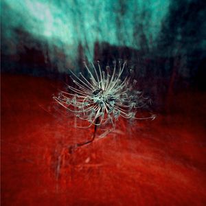 生长（cover醉雪/冥月）