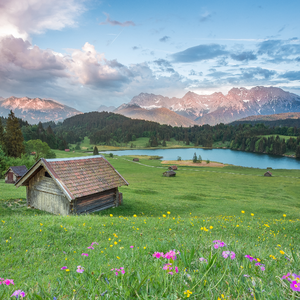 越过山丘(翻自 杨宗纬)