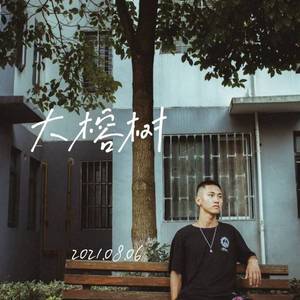 大榕树 伴奏