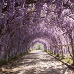 爱大了受伤了2025 (Cover 汤潮)