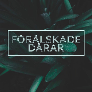 Förälskade dårar (Radio Edit)