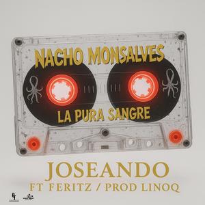 Joseando (feat. Feritz)
