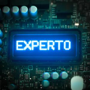 Experto