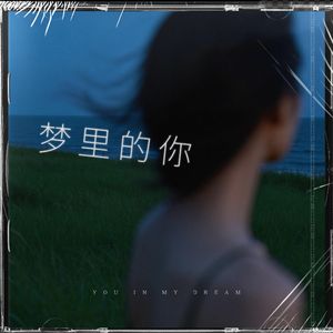 梦里的你