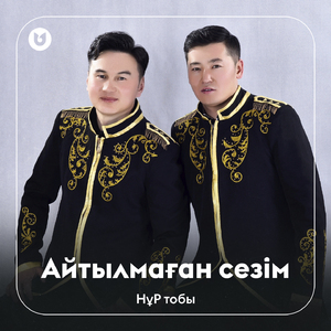 Айтылмаған сезім