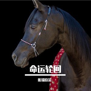 立交桥下的野火