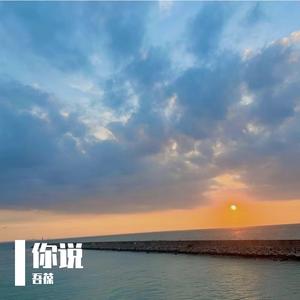 你说
