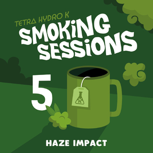 Haze Impact (Smoking Session 5)