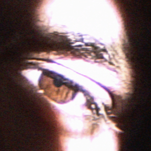 Cuckoos (Nightcore Ver.)