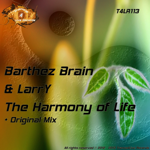 The Harmony of Life (Original Mix)