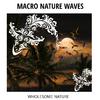 Drizzle Studio Nature Studio - Glorious Waves Distant Muffed Lullaby