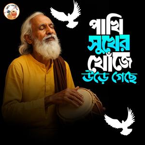 পাখি সুখের খোজে উড়ে গেছে