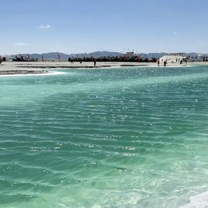 花海未开放-源 伴奏